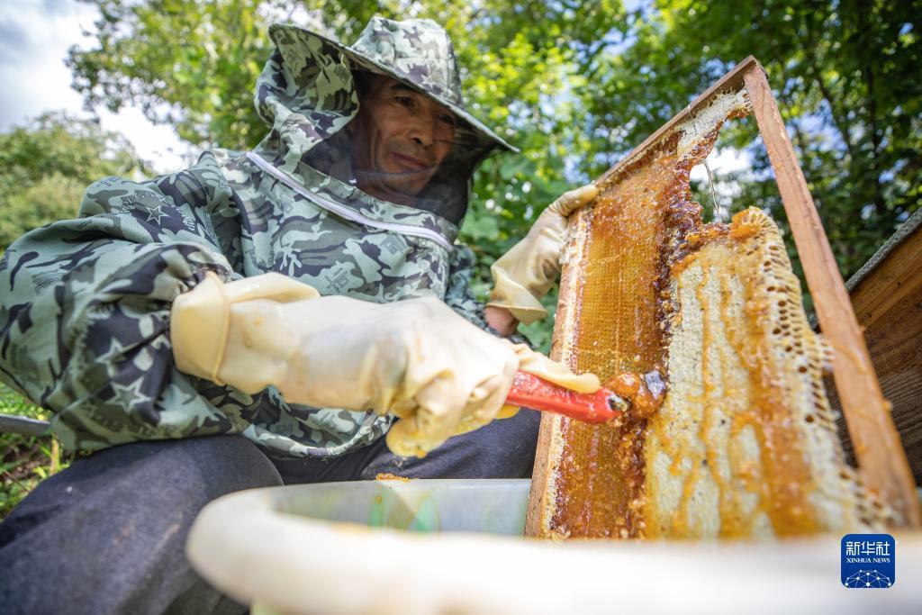 捕鱼上下分微信号